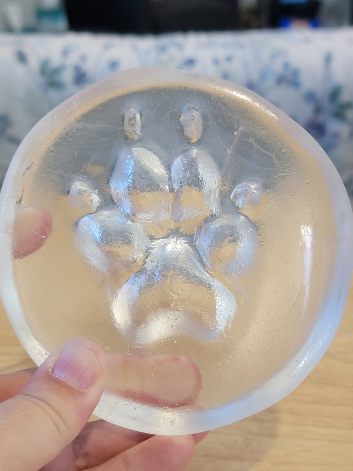 Memorial Paw Impression - Clear Glass Pet In-Home Euthanasia